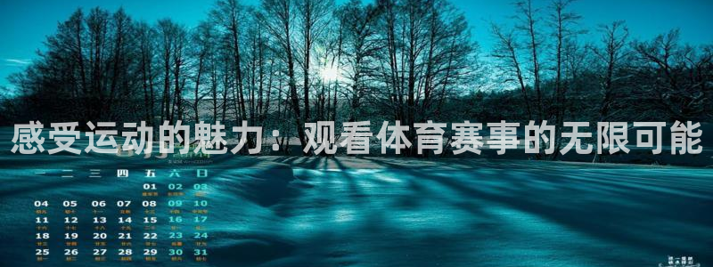 9球直播足球赛事直播黑白：感受运动的魅力：观看体育赛事的无限可能