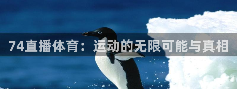 黑白体育视频直播：74直播体育：运动的无限可能与真相