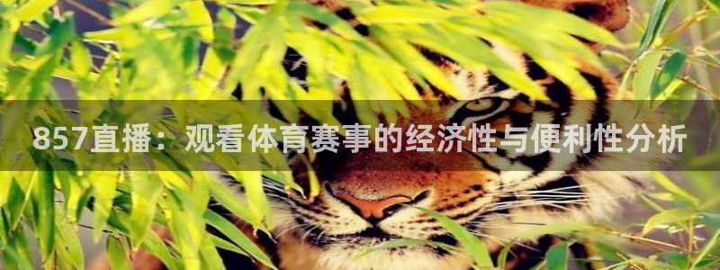 黑白直体育直播：857直播：观看体育赛事的经济性与便利性分析