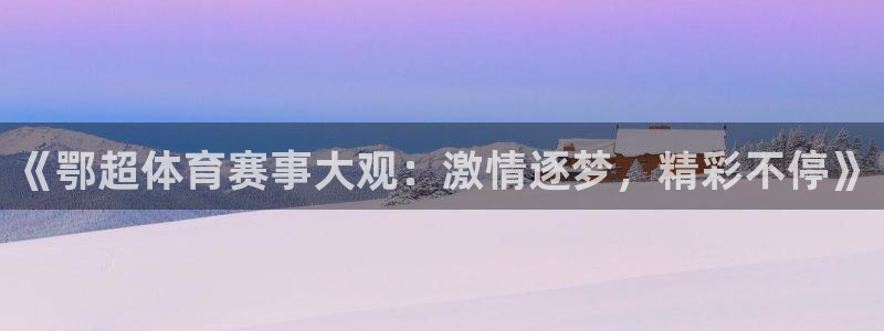 黑白体育视频直播：《鄂超体育赛事大观：激情逐梦，精彩不停》