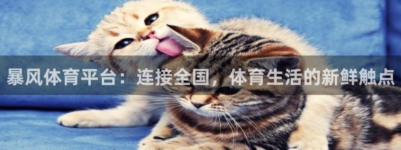nba直播 黑白：暴风体育平台：连接全国，体育生活的新鲜触点