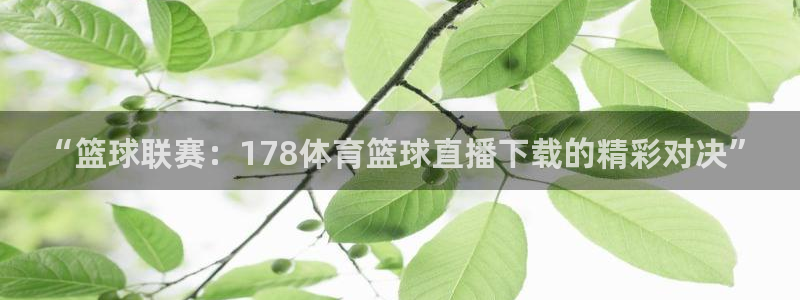 黑白体育在线直播官网：“篮球联赛：178体育篮球直播下载的精彩对决”