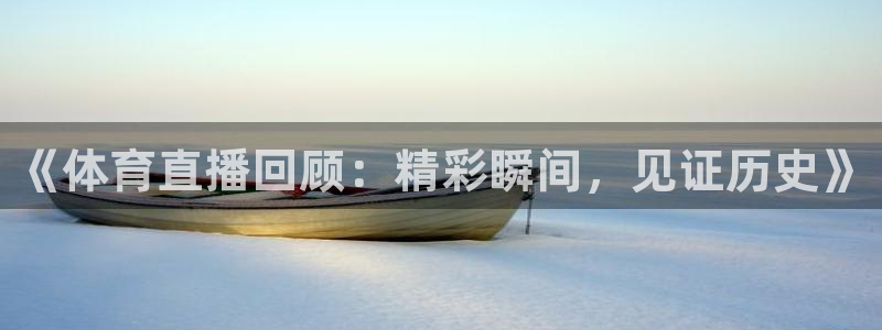 黑白直播免费体育直播足球：《体育直播回顾：精彩瞬间，见证历史》