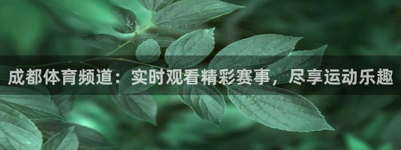黑白篮球直播网：成都体育频道：实时观看精彩赛事，尽享运动乐趣