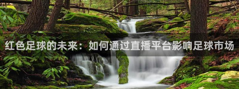 黑白直播看球：红色足球的未来：如何通过直播平台影响足球市场