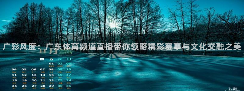 jrs黑白体育直播官网：广彩风度：广东体育频道直播带你领略精彩赛事与文化交融之美