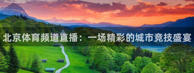 黑白篮球在线直播：北京体育频道直播：一场精彩的城市竞技盛宴