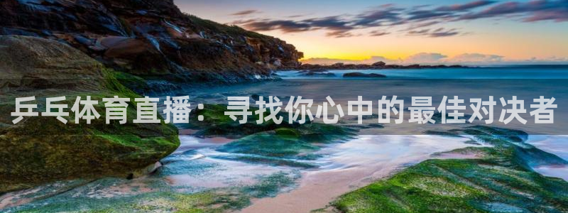 黑白体育在线直播：乒乓体育直播：寻找你心中的最佳对决者