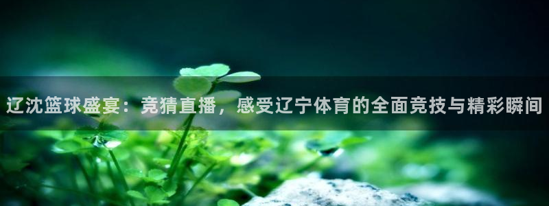 黑白体育nba直播：辽沈篮球盛宴：竞猜直播，感受辽宁体育的全面竞技与精彩瞬间