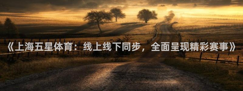 旧版黑白直播体育app下载：《上海五星体育：线上线下同步，全面呈现精彩赛事》