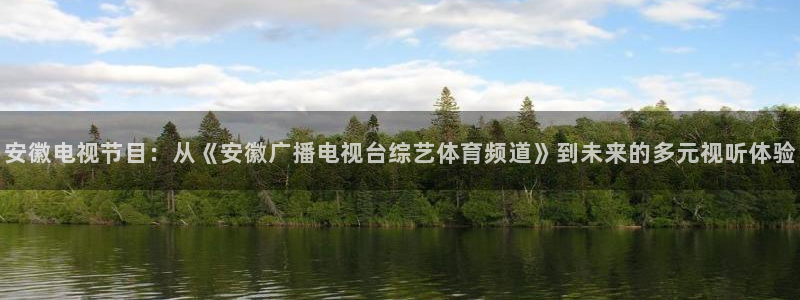 黑白体育直播高清免费观看：安徽电视节目：从《安徽广播电视台综艺体育频道》到未来的多元视听体验