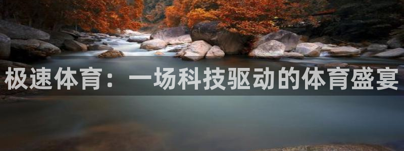 黑白直播在线观看：极速体育：一场科技驱动的体育盛宴