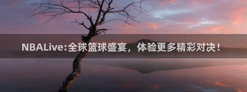 黑白体育app下载：NBALive:全球篮球盛宴，体验更多精彩对决！